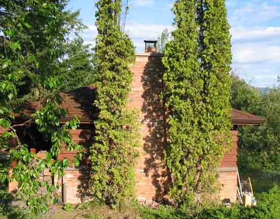 rebuilt chimney at Susan's office