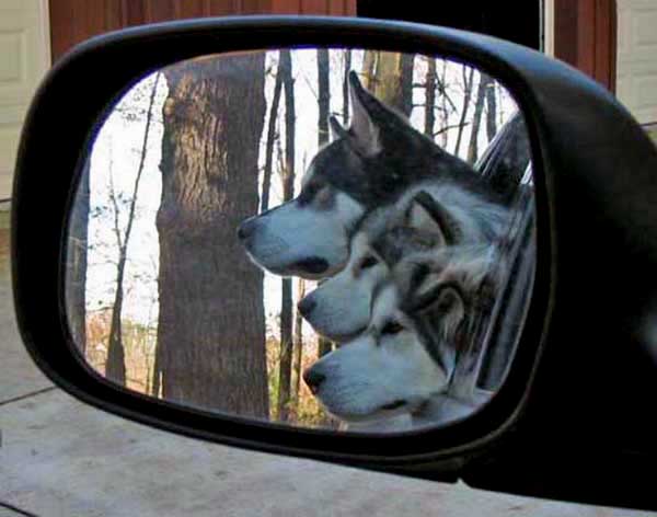 mirror image