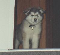 Sophie at top of stairs