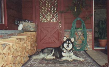Tuck at the front door